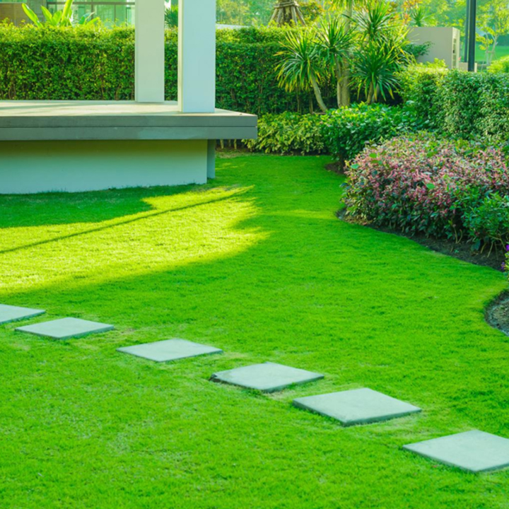 Landscaping Services in Bradenton